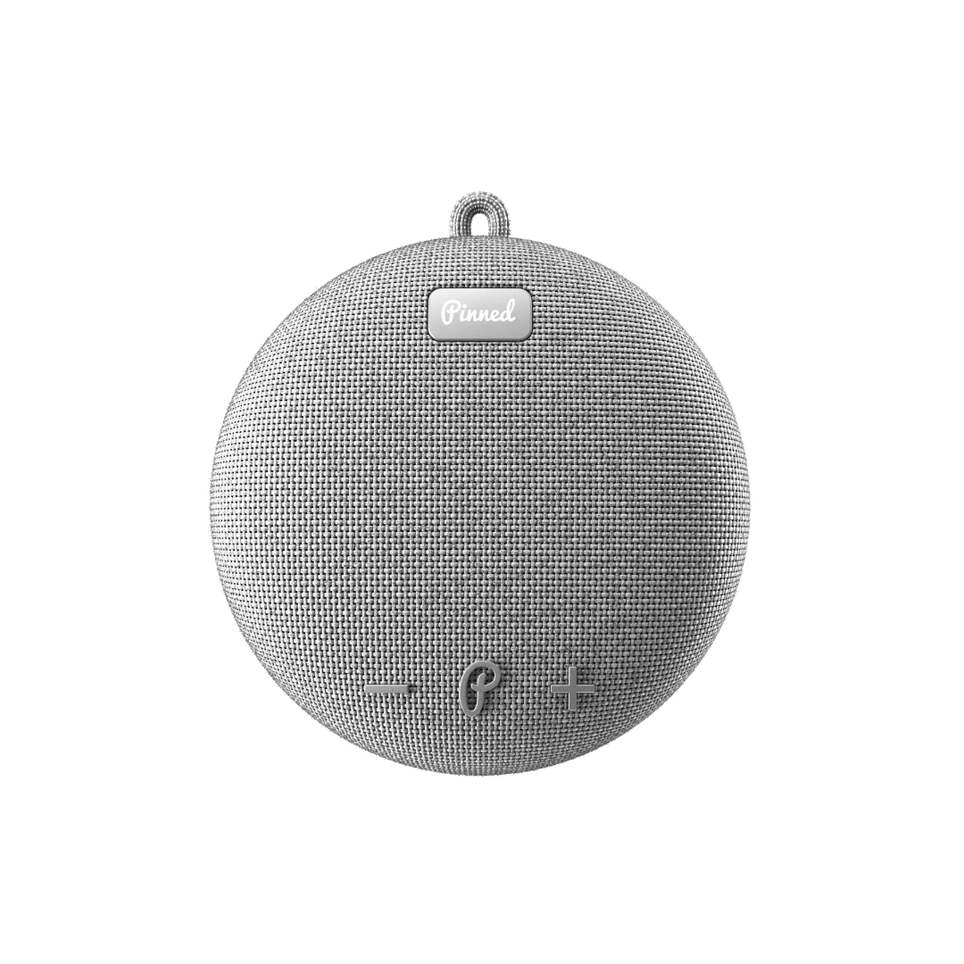 Dart 2.0 Speaker