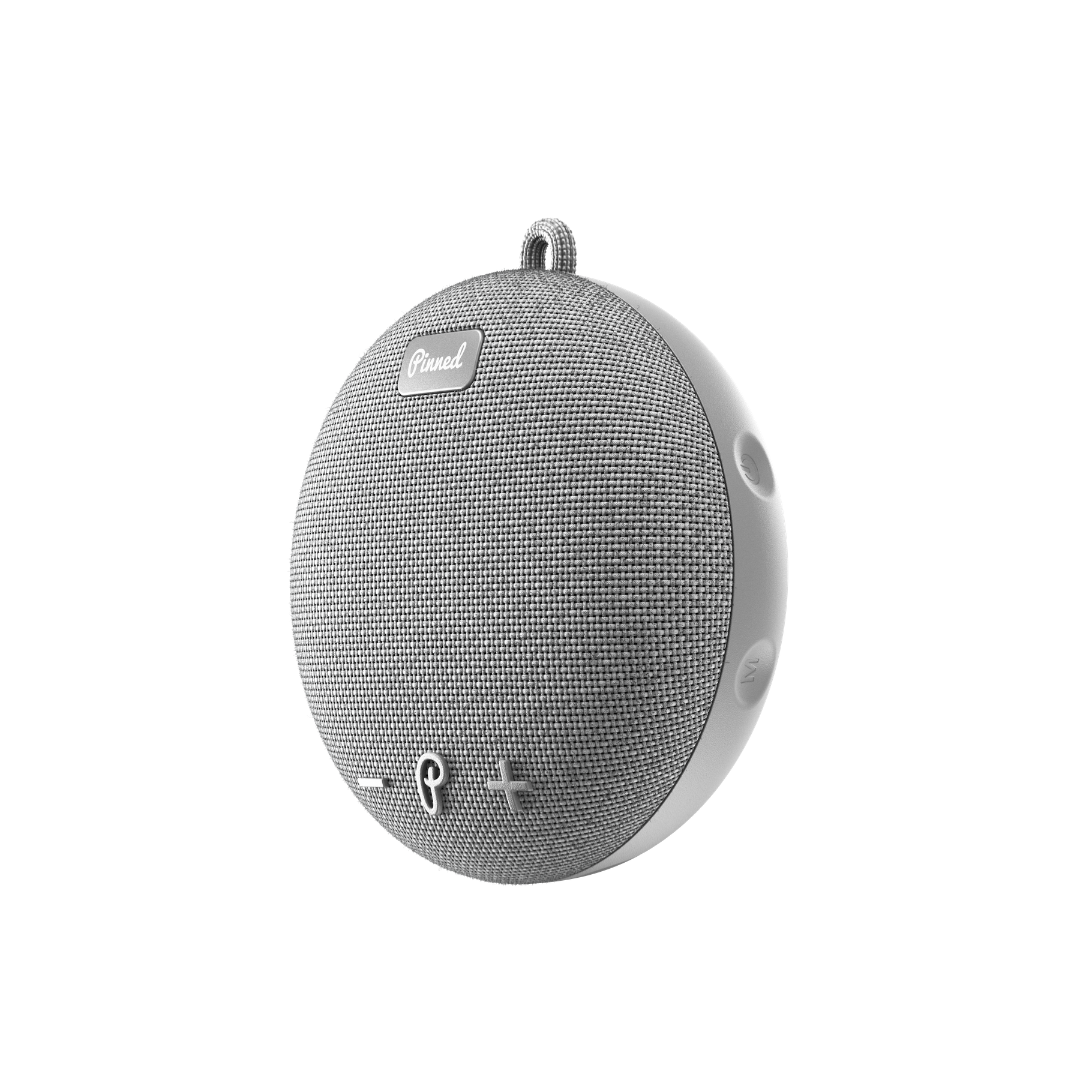 Dart 2.0 Speaker