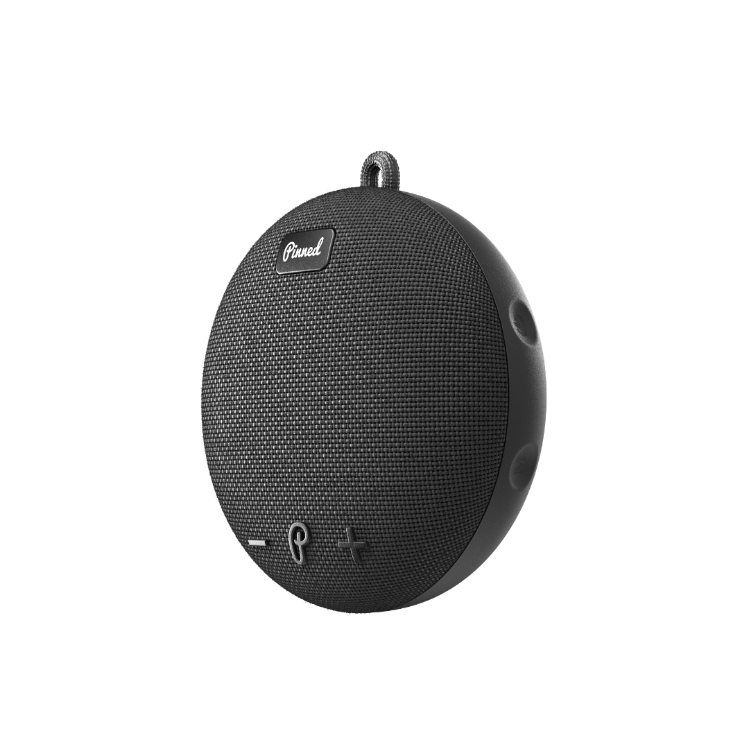 Dart 2.0 Speaker